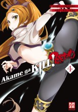 Akame ga Kill ZERO 48